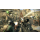 Activision CALL OF DUTY Black Ops 2 PS3 - 1403038 - zdjęcie 2